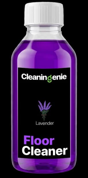 CleaninGenie Sample